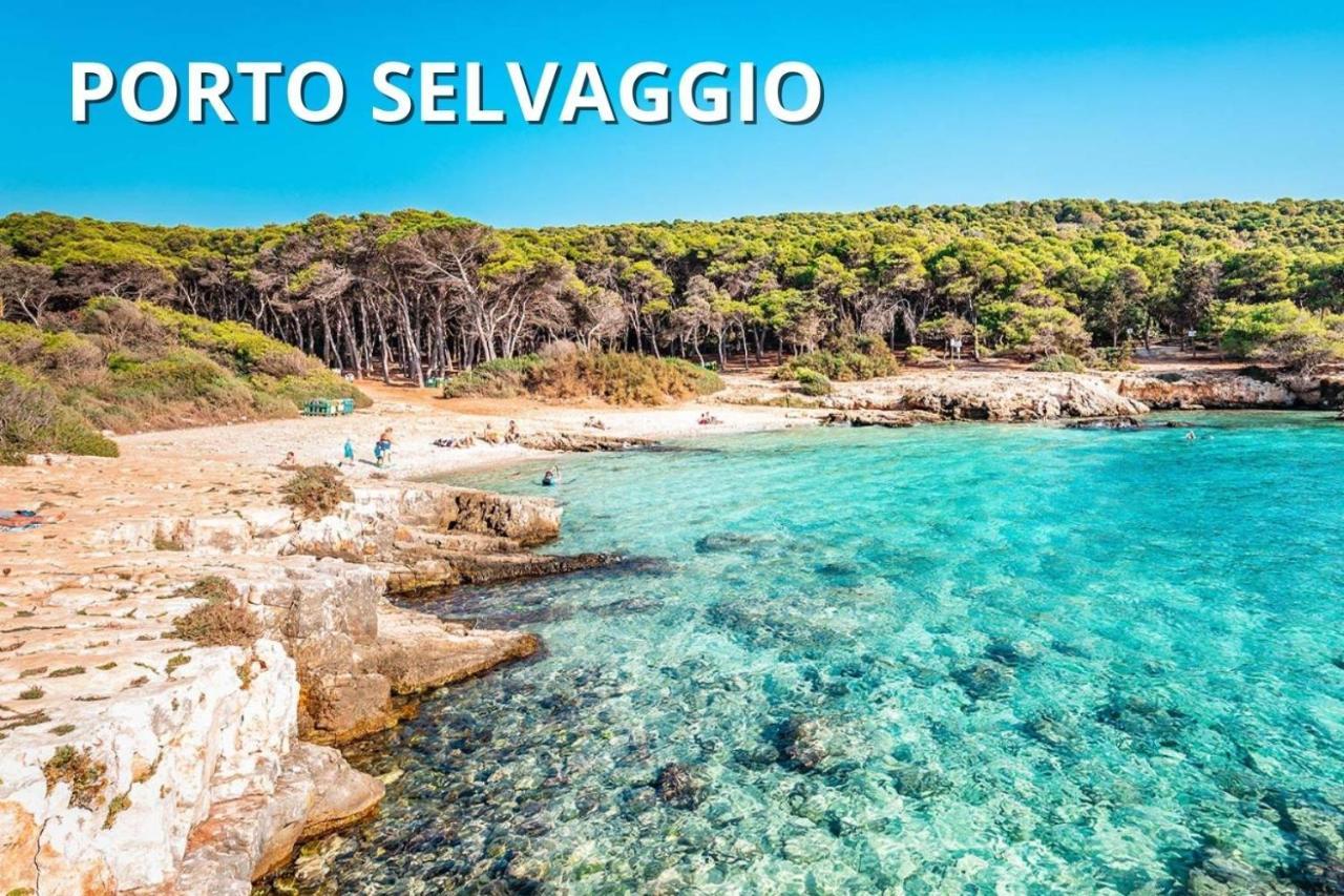 Delfino - Ampio Appartamento A 40 Metri Dalla Spiaggia Lido Conchiglia Esterno foto