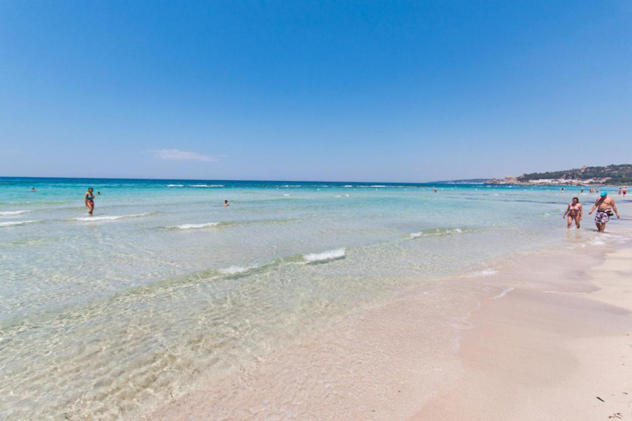 Delfino - Ampio Appartamento A 40 Metri Dalla Spiaggia Lido Conchiglia Esterno foto
