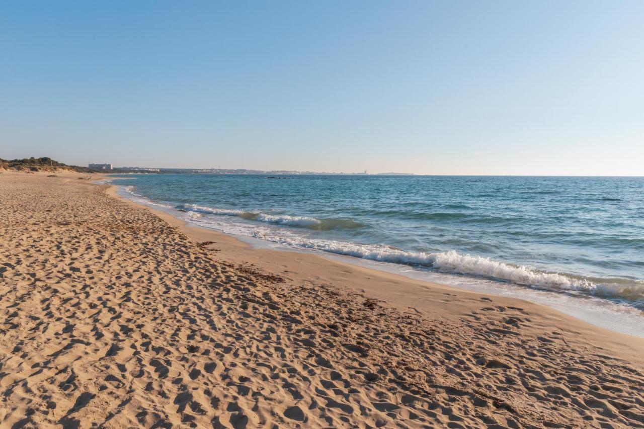 Delfino - Ampio Appartamento A 40 Metri Dalla Spiaggia Lido Conchiglia Esterno foto